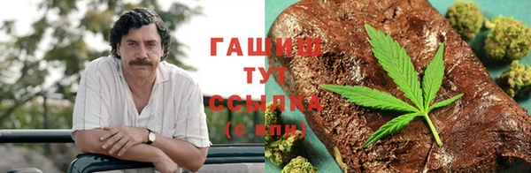прущие крисы Алзамай