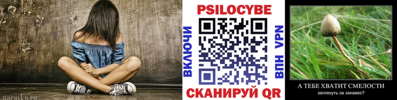 дарнет шоп Чусовой OMG ONION Псилоцибиновые грибы мицелий