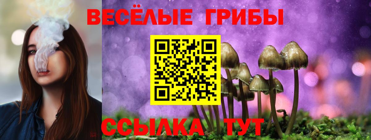 Псилоцибиновые грибы MAGIC MUSHROOMS Чусовой